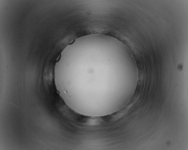 X0000103320334200809261142