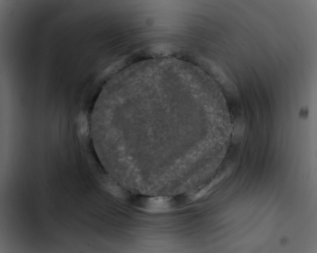 X0000103320335200809261142