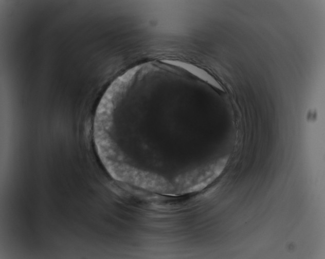 X0000103320336200809261142