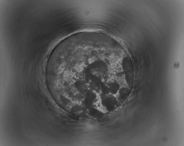 X0000103320337200809261142