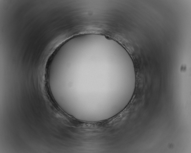 X0000103320338200809261142