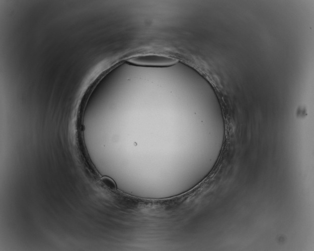 X0000103320340200809261142