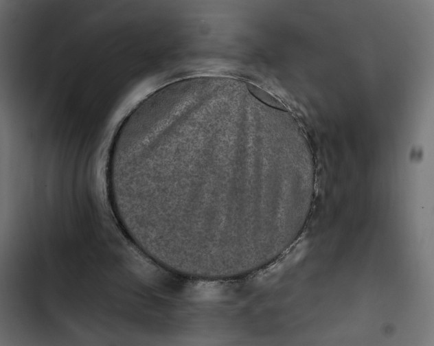 X0000103320341200809261142