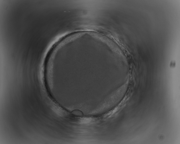 X0000103320342200809261142