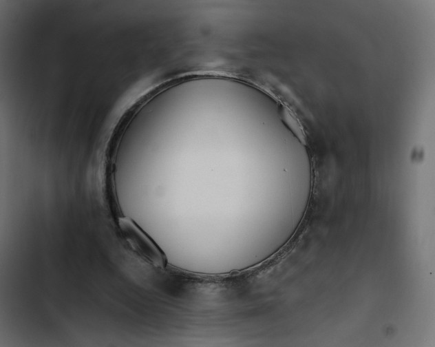 X0000103320344200809261142