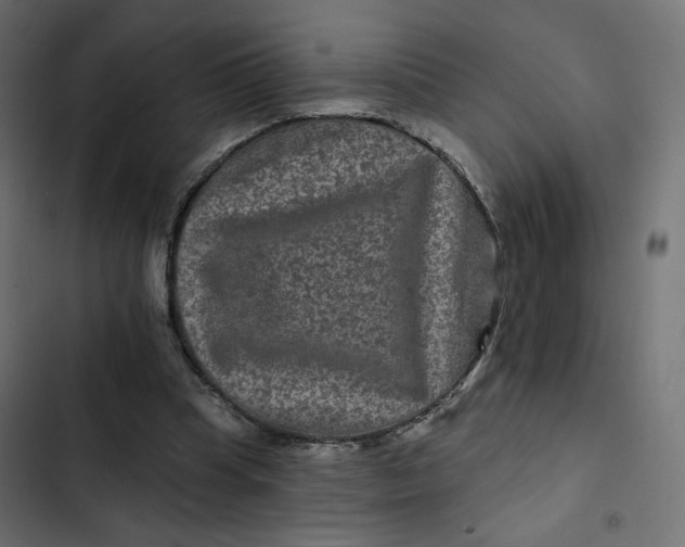 X0000103320345200809261142