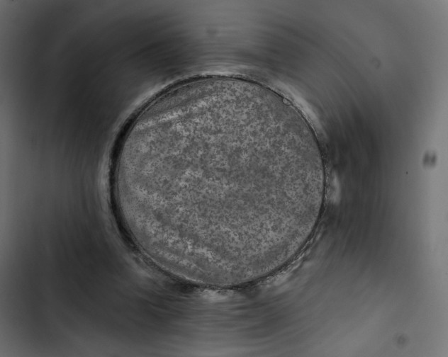 X0000103320346200809261142