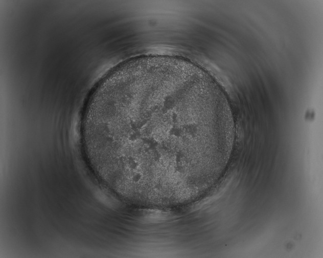 X0000103320347200809261142