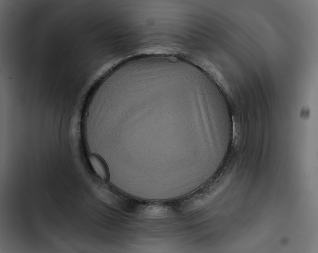 X0000103320348200809261142