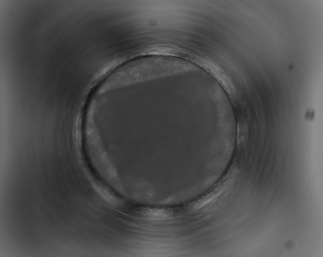 X0000103320349200809261142