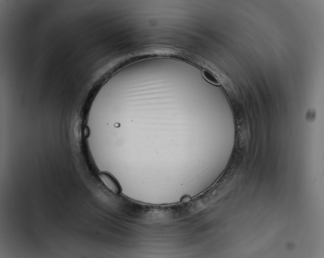 X0000103320350200809261142