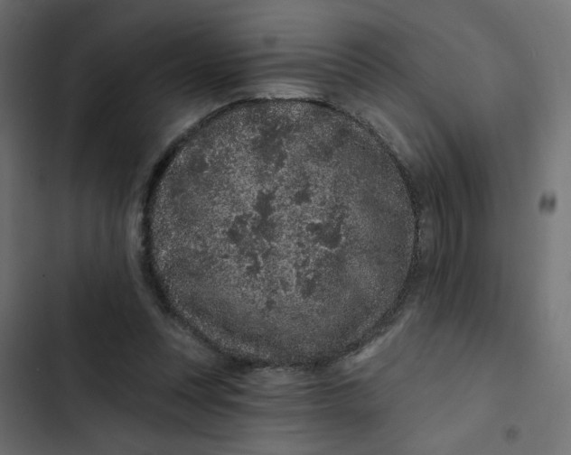 X0000103320351200809261142