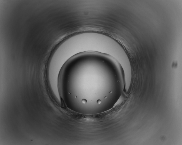 X0000103320352200809261142