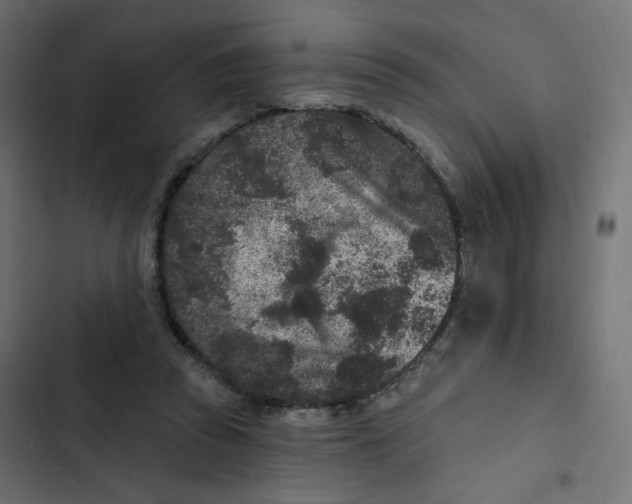 X0000103320353200809261142