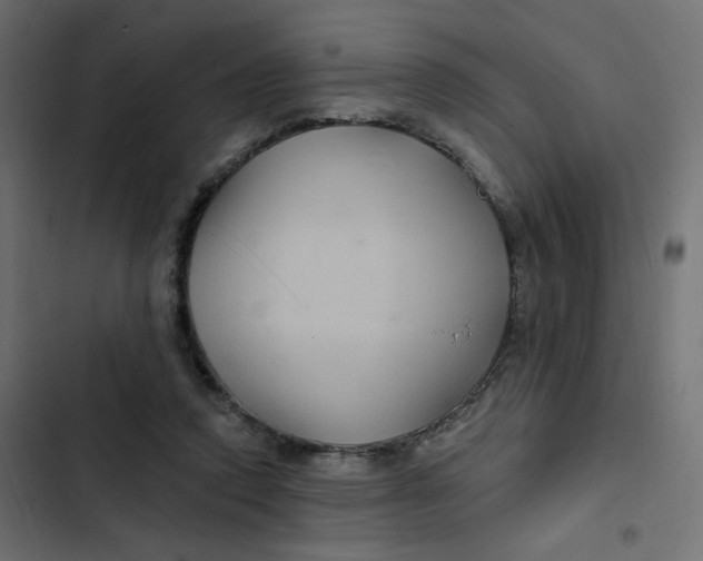 X0000103320354200809261142