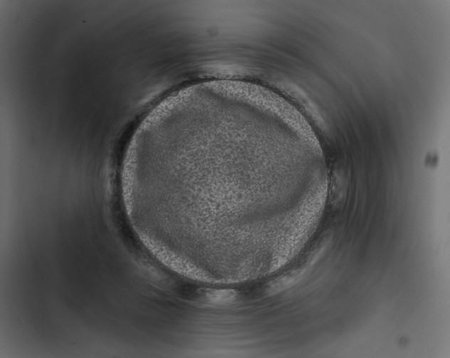 X0000103320355200809261142