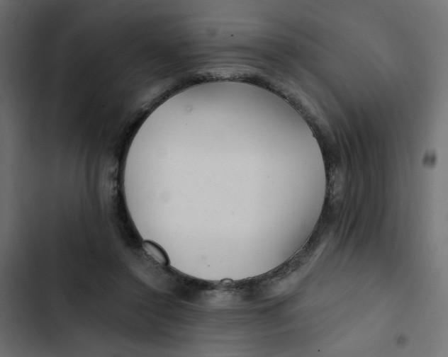 X0000103320356200809261142