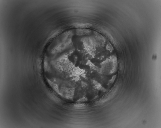 X0000103320357200809261142