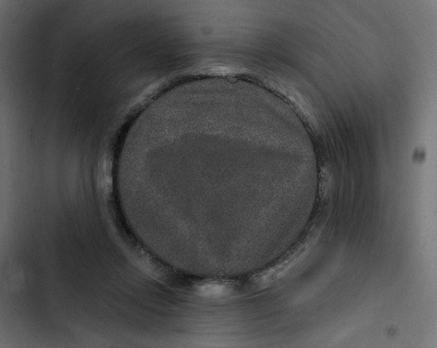 X0000103320358200809261142