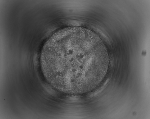 X0000103320359200809261142