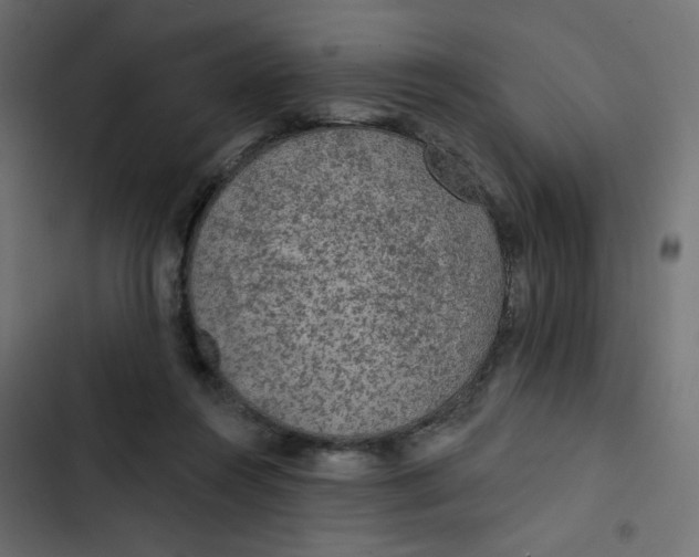 X0000103320360200809261142