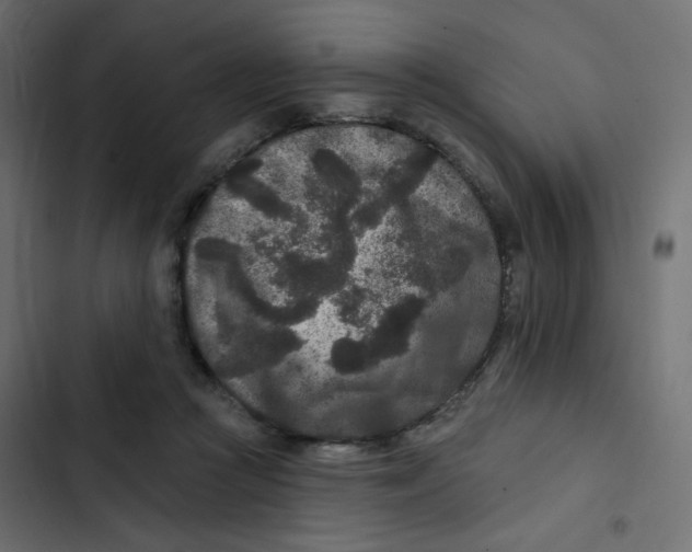 X0000103320361200809261142