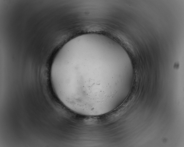 X0000103320362200809261142