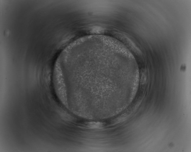 X0000103320363200809261142