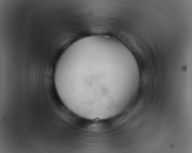 X0000103320364200809261142