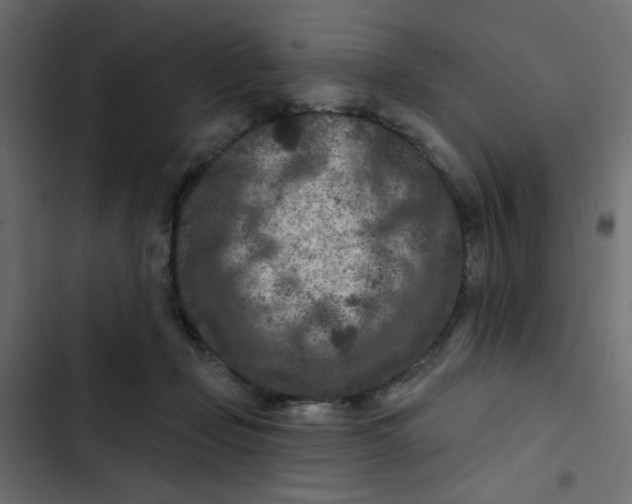 X0000103320365200809261142