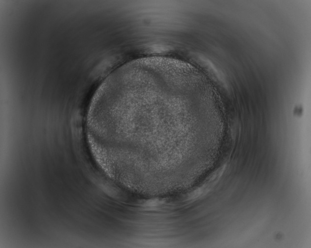 X0000103320366200809261142