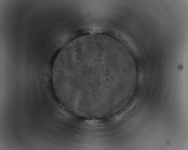 X0000103320367200809261142