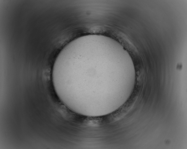 X0000103320368200809261142