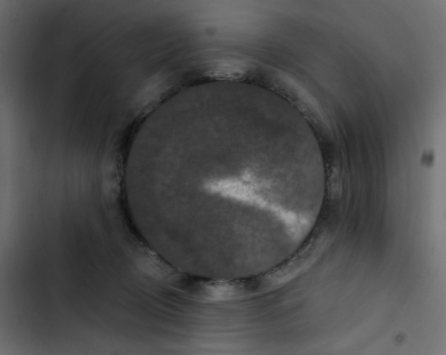 X0000103320370200809261142