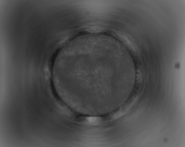 X0000103320371200809261142