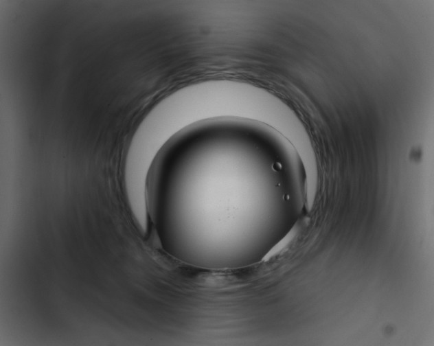 X0000103320372200809261142