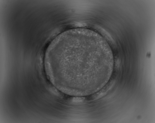 X0000103320373200809261142