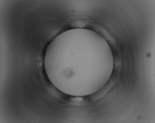 X0000103320374200809261142