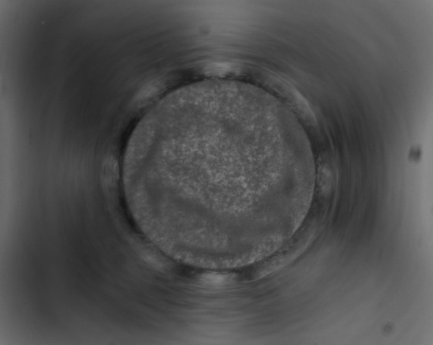 X0000103320375200809261142