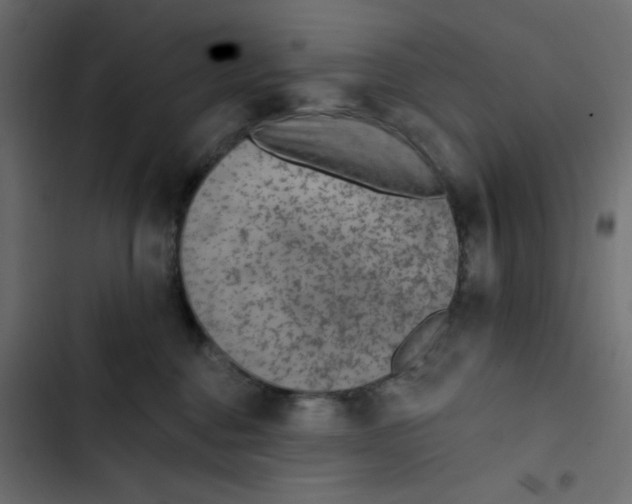 X0000103320376200809261142