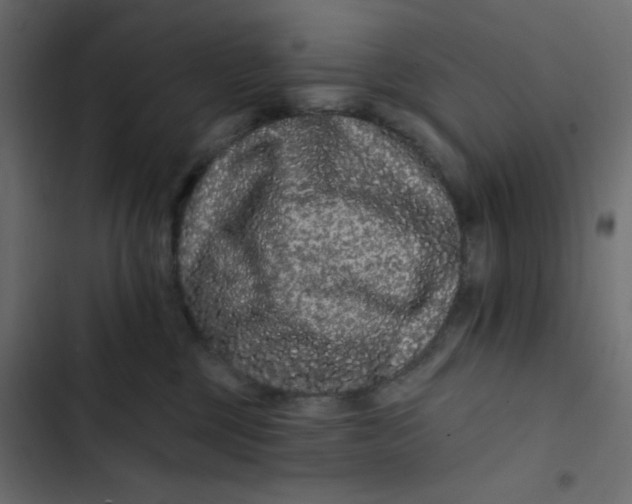 X0000103320377200809261142