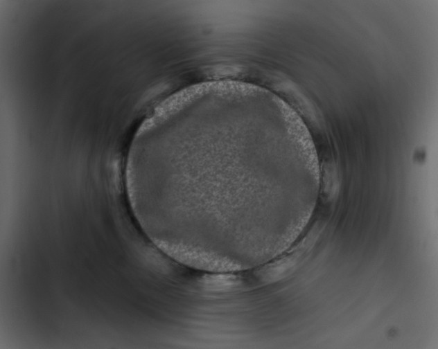 X0000103320378200809261142