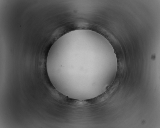 X0000103320379200809261142