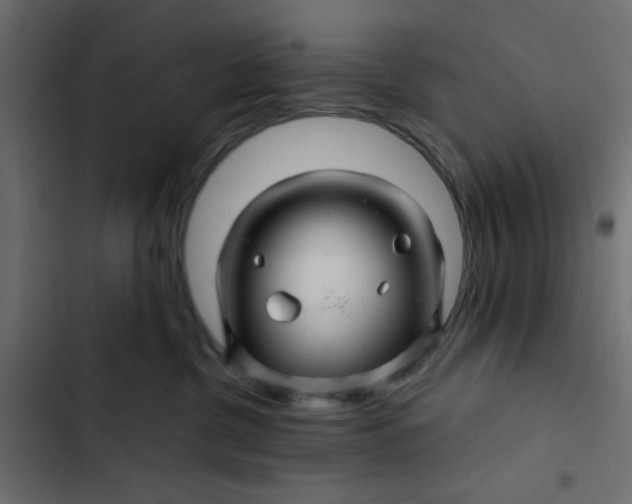 X0000103320380200809261142