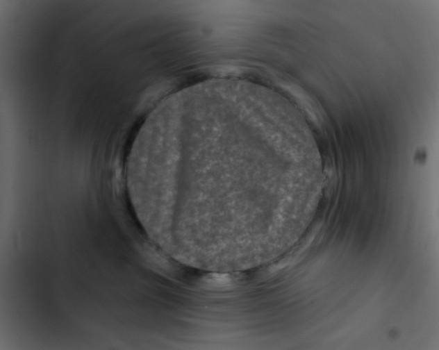 X0000103320381200809261142