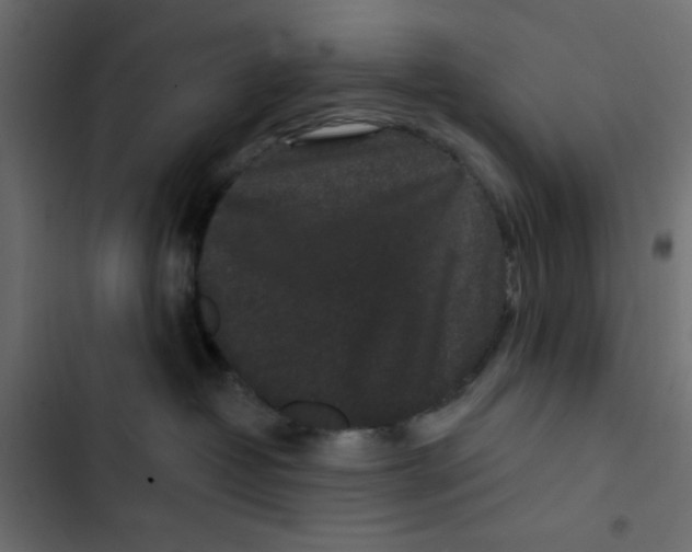 X0000103320382200809261142