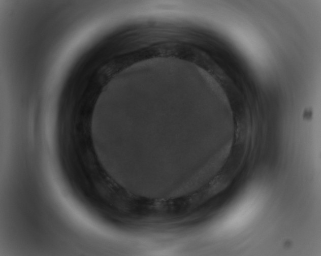 X0000103320383200809261142