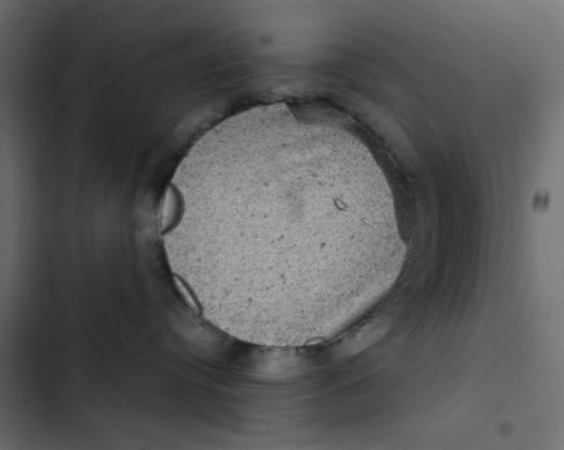 X0000103320384200809261142