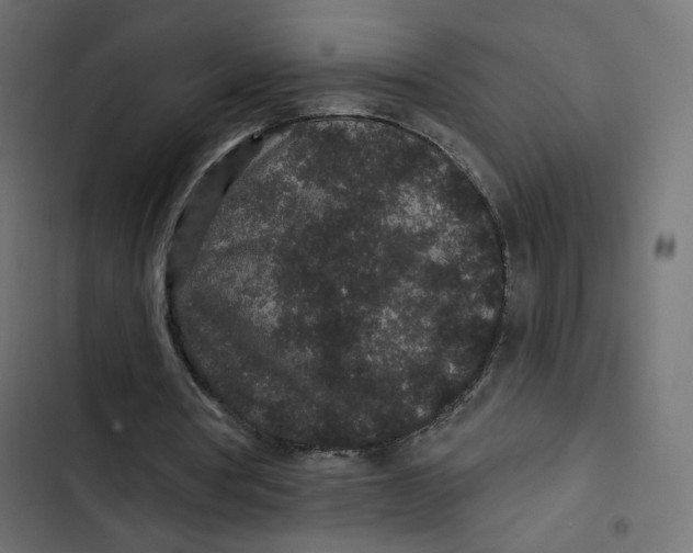 X0000103320386200809261142