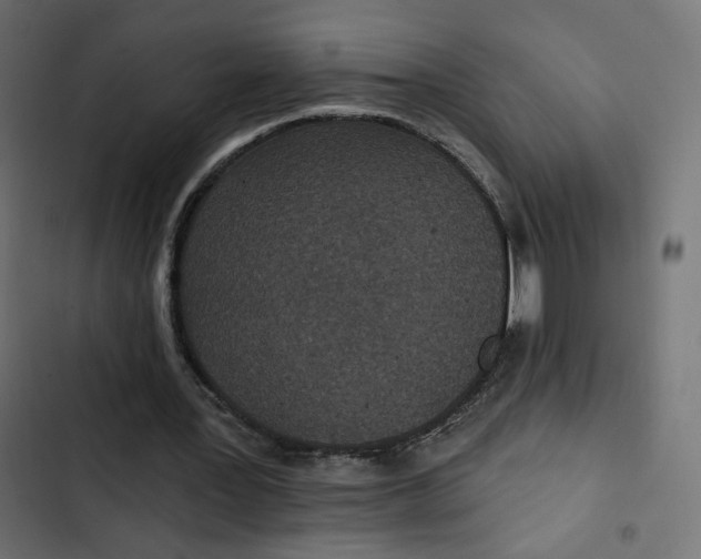 X0000103320387200809261142